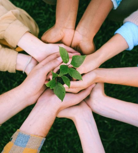 pexels-shvetsa-5029919